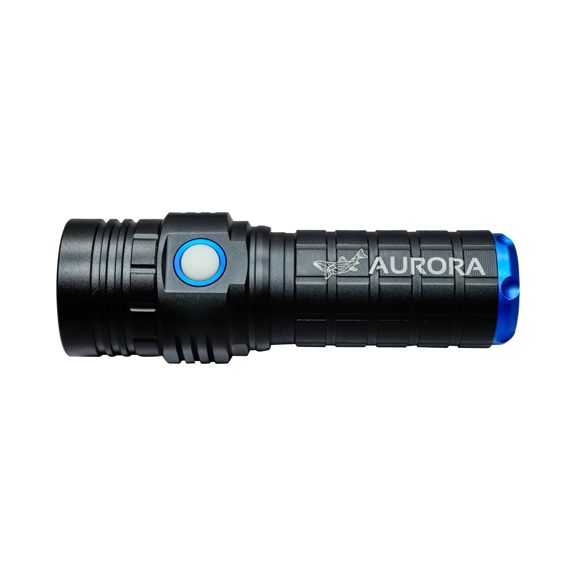 Large UV Flashlight